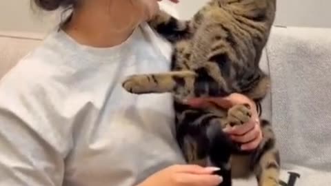 Cat and girl amazing video, cat funny video, omg video,