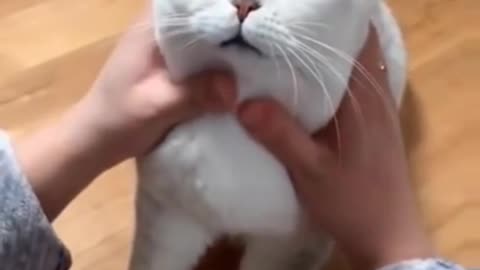 Cate_cute funny video.