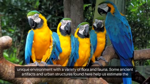 "Fascinating Facts About the Amazon Rainforest"