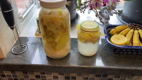HOW TO MAKE A LIVING, ENZYME AND BENEFICIAL BACTERIA RICH, FERMENTED FRUIT MOTHER COLONY POTION