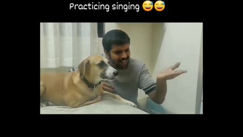 # dog lover and singing