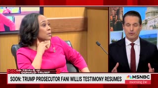 MSNBC Legal Analyst Says Fani Willis Was Not Good Witness 'By Any Metric,' Attacks Credibility