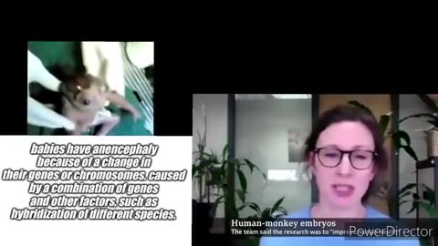 Monkey-Human Hybrids Are Real. Alex Jones Was Right Again.