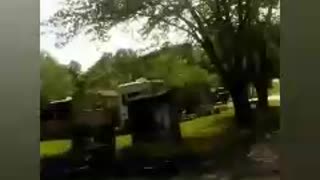 MOVING TREES