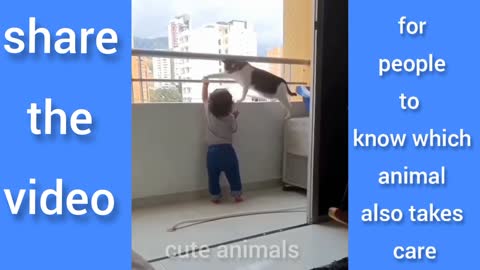 the animals also take care of how this cat protects this innocent child