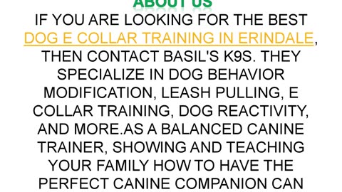 Best Dog E Collar training in Erindale
