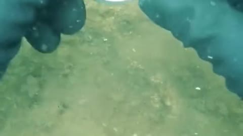 Underwater treasure hunt