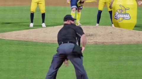 Umpire breaks it down!!