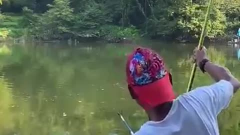 BIRD Fishing Lure Catches BIG FISH CRAZY