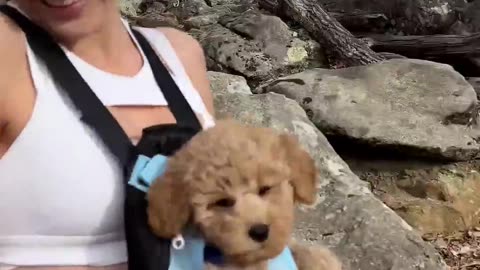 Sky loves hiking