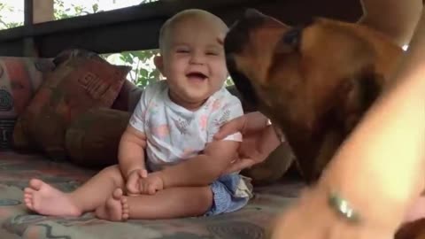 The pet dog plays games and amuses the baby