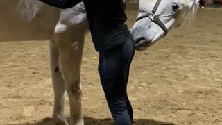 Horse Gives Scritches Back