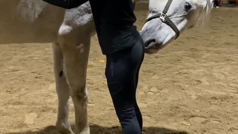 Horse Gives Scritches Back