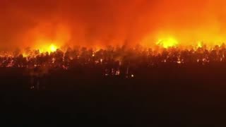 Manchester New Jersey - Massive Forest Fire - affecting 500 Acres