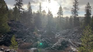 Central Oregon – Edison Sno-Park – The Forest Transitioning from Summer to Winter – 4K