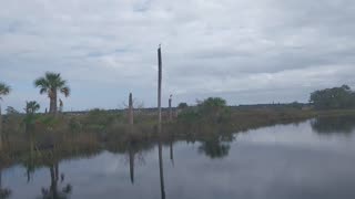 Castaway Island Preserve Bird Watching(with Music)