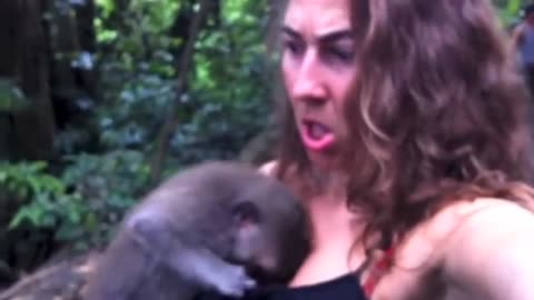 Funny 🤣monkey🙈 video