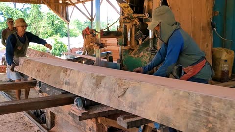 Extraordinary!! The Shape Of Red Meranti Wood On A Saw With A #Bandsaw