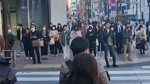 Japanese Pedestrians Obey Traffic Laws