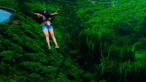 Nature's Symphony at Nadukani Estate, Wayanad | Kerala, India 🌿🌄