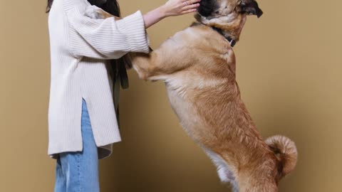 happy cute dog showing love to her