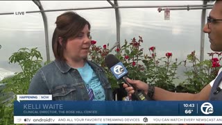 Rose Hill Flower Sale & Fair