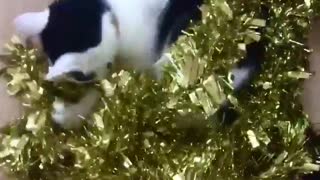 Cat stole the christmas tree garland