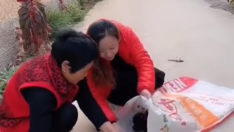 Best Funny Videos 2022, Chinese Funny clips daily