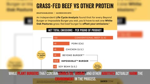 Grains: American vs. European