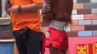 Orangutangabangalang