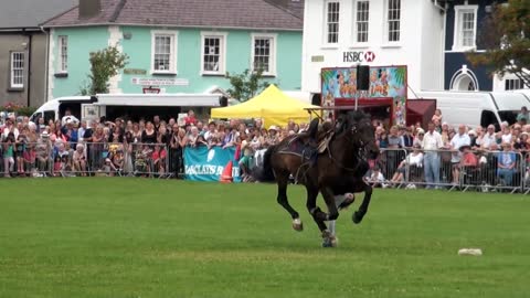 Hunt and Stunts - jumping, Amazing Horse Freestyle