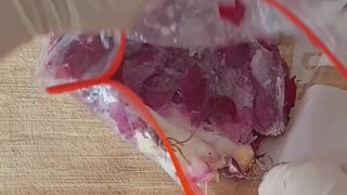 Ultimate Onion Hacks: Chopping Onions | No Knife Method: #shorts #onion #onionhacks #kitchenhacks