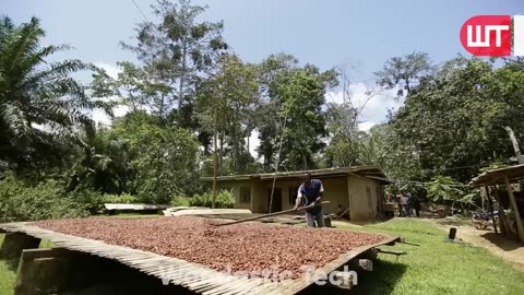 How Nutella Is Made In Factory How its Made Nutella Food Factory