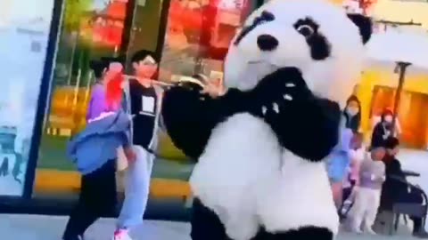 Funny 🐼 panda