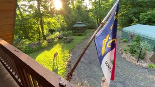 🦌 Dinner time at the Treehouse 🌳 NW NC High country God’s country ✝️