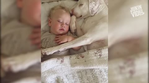 cute baby with dogs