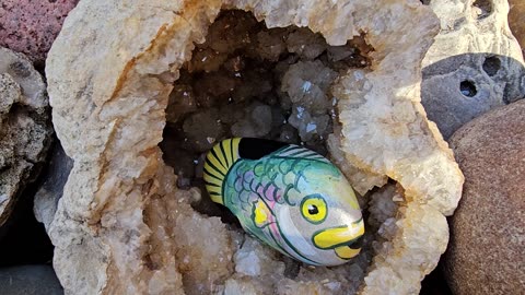 Pet Rock Fish 🐟 are well painted and creative! Art by Chichi Miller Mermaids 🧜‍♂️ 💙 too.