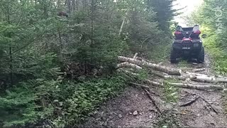 Trail cutting