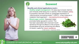 How to lose weight FAST with Seaweed