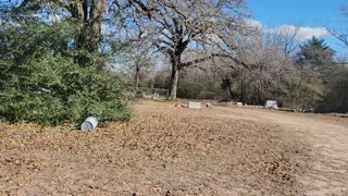 Drive Through Salem Cemetery in College Station,TX, Brazos Co in 2024