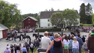 Aggershusiske Ridende Jæger-corps Vegger gård 10.08.2014