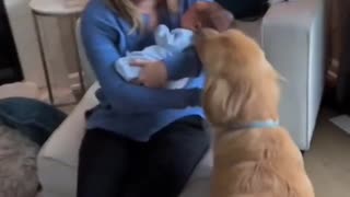 Baby and puppy becoming best friends ❤️🥹