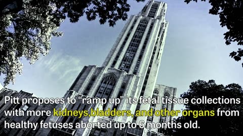 University of Pittsburgh Admits Hearts Beating While Harvesting Aborted Infant Kidneys