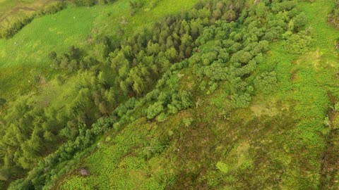 Travel to Ireland outdoor nature video