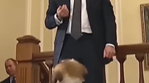 Putin’s puppy ,Putin dog lover