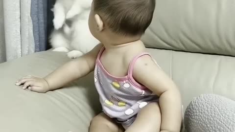 Cute baby funny dog
