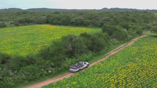 ARGENTINA DOVE HUNTING: SCORECARD