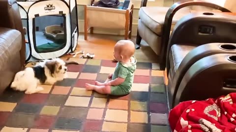 Best video of Cute Babies and Pets - Funny Baby and Pet