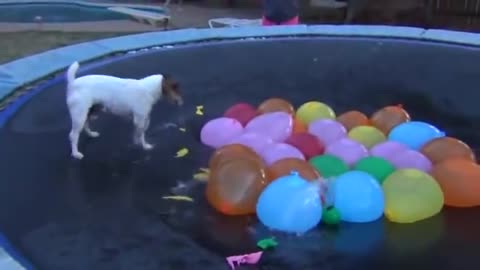 Spaz Attacks Water Balloons--Full Version