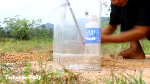 Build Unique Underground Parrot Trap Using Deep Hole Bottle Plastic - Simple Parrot Trapp3